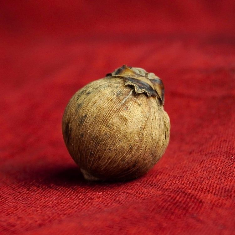 Siddha Laghu Nariyal