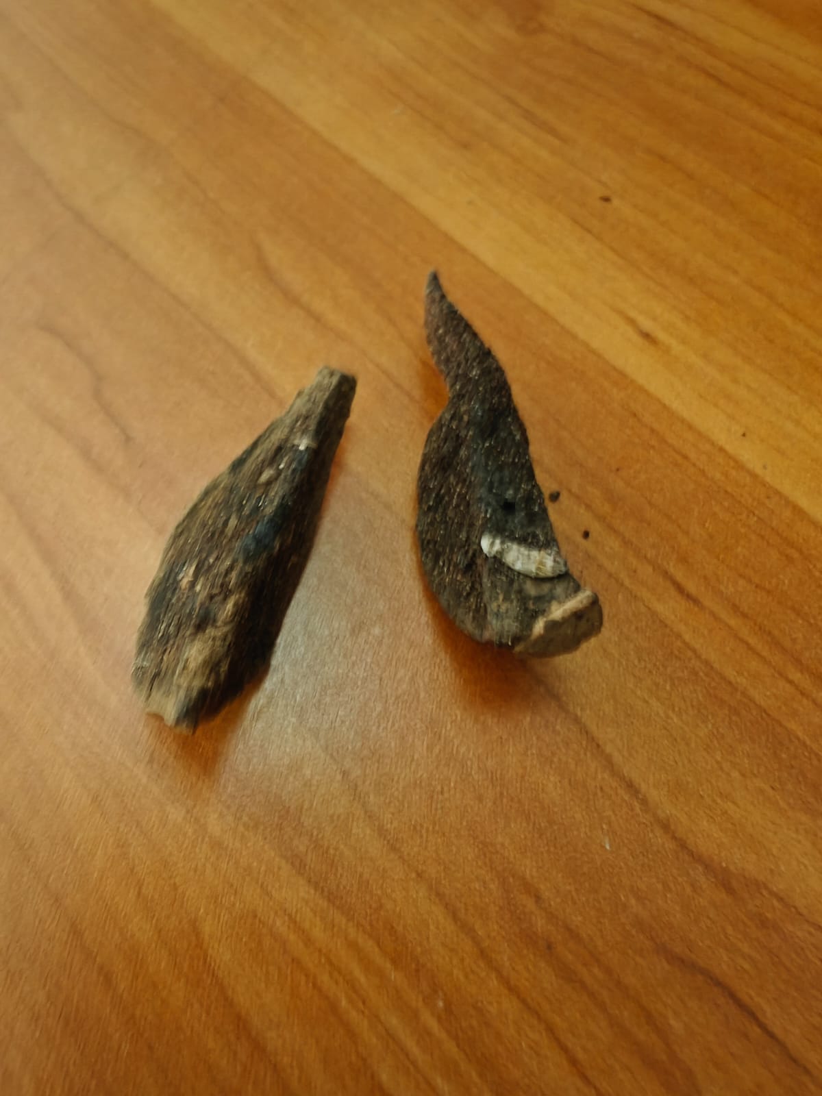 RAREST ABHIMANTRIT KALI HALDI 100% ORIGINAL ONE PIECE