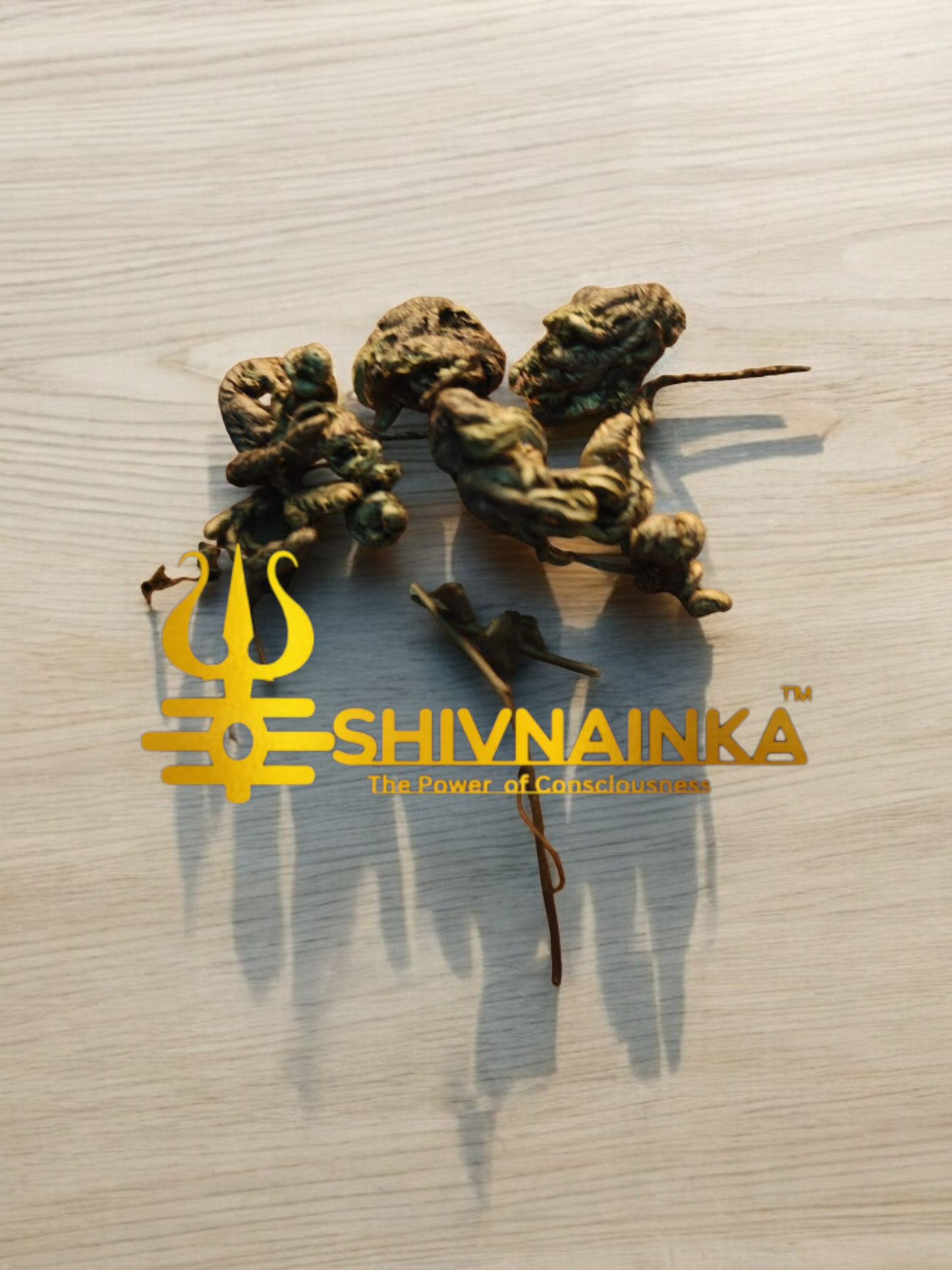 Himalyan Sanjeevani /BUSINESS BOOSTER /Mind changer