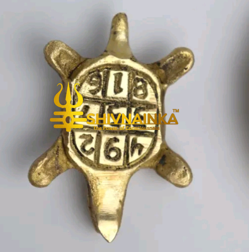 Vastu Brass Tortoise