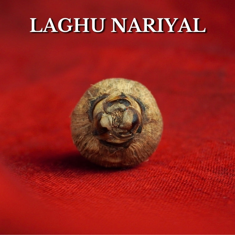 Siddha Laghu Nariyal