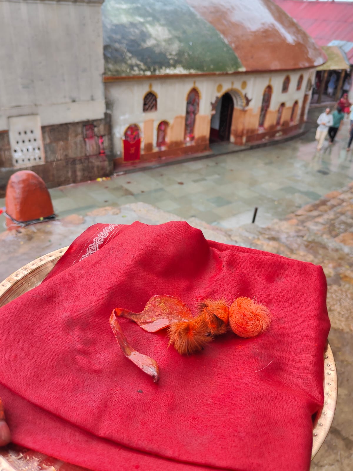 Original & Siddha Siyar Singhi – Gidar Singhi Siddha by Kamakhya Shakti peeth Rituals