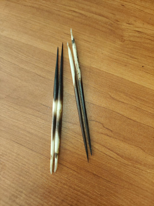 Abhimantrit Sahi Ka Kanta |Original & Natural Porcupine Quills 5 Inch