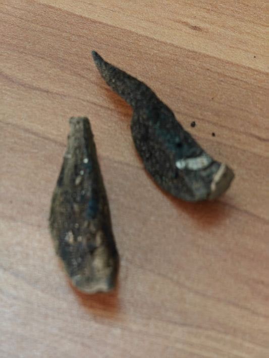 RAREST ABHIMANTRIT KALI HALDI 100% ORIGINAL ONE PIECE