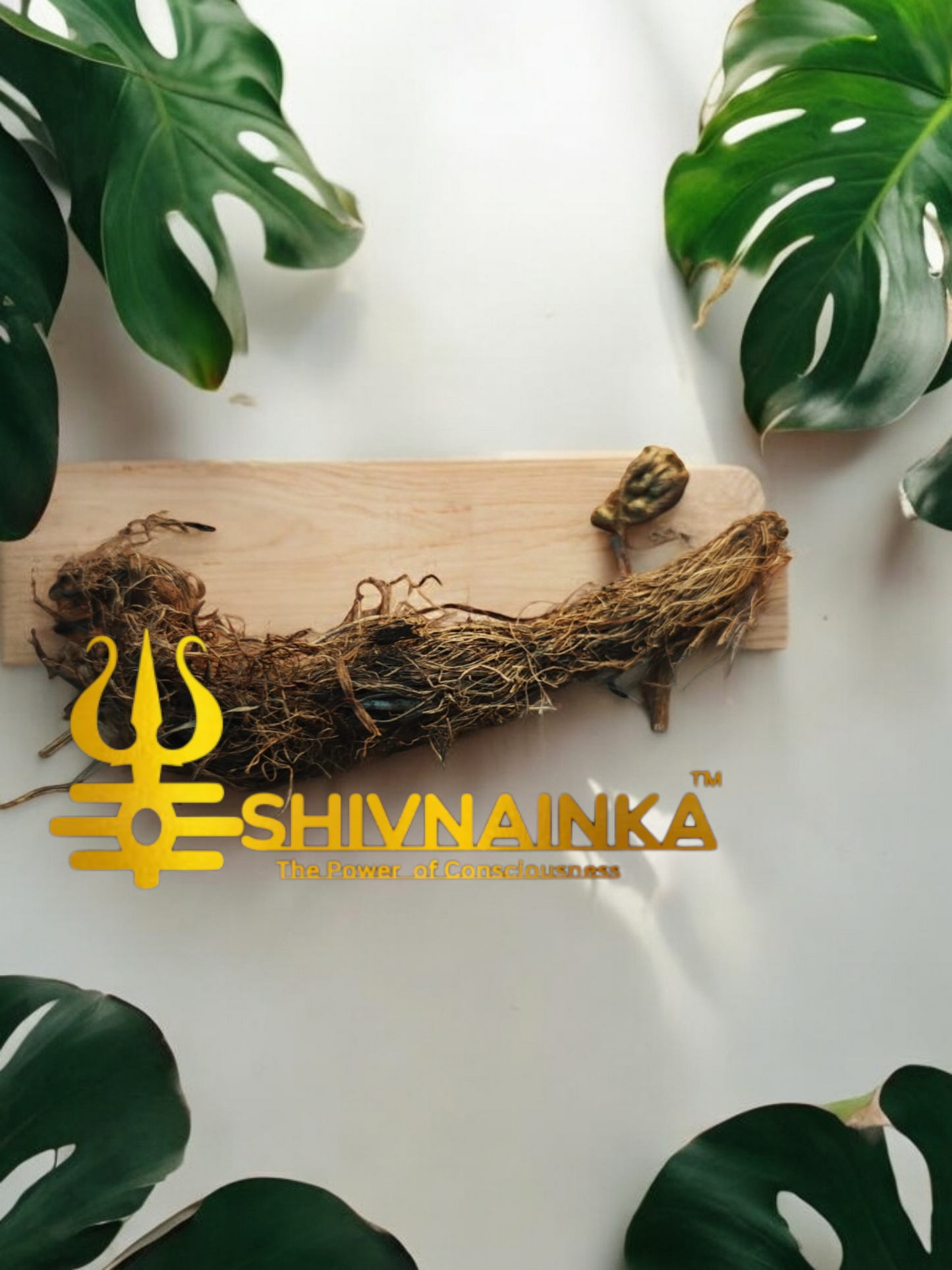 Yavanlatika / Cosmic Connector ( Intuition Booster)