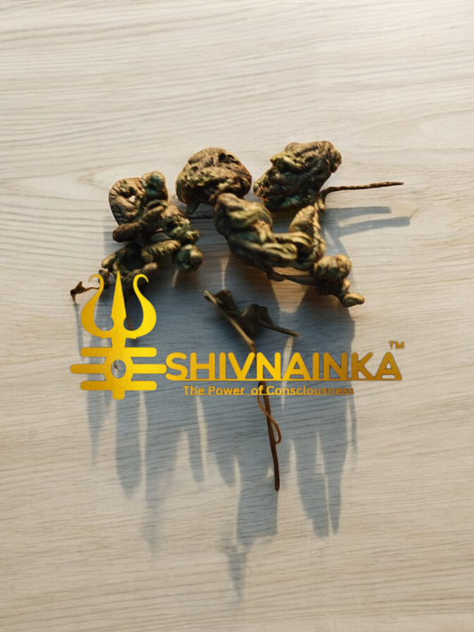 Himalyan Sanjeevani /BUSINESS BOOSTER /Mind changer