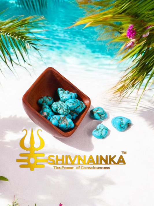 Irani Natural Turquoise (Firoza) Stone Single Piece