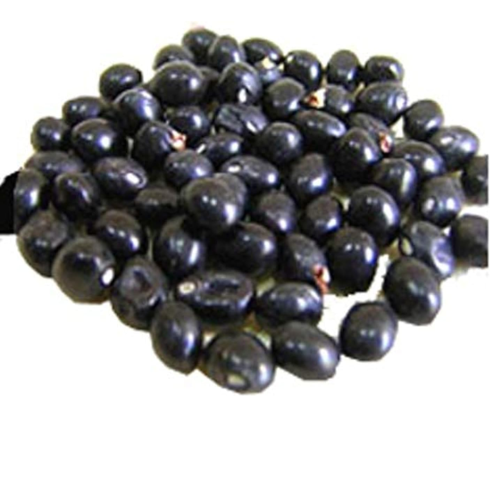 Black Gunja Seeds 11 seeds pack