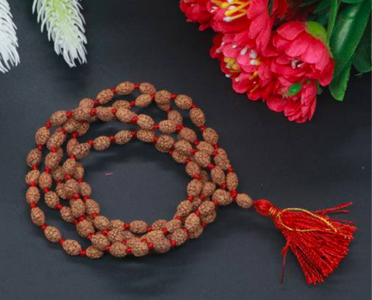 Primium 3  mukhi Nepali pathariya rudraksha mala