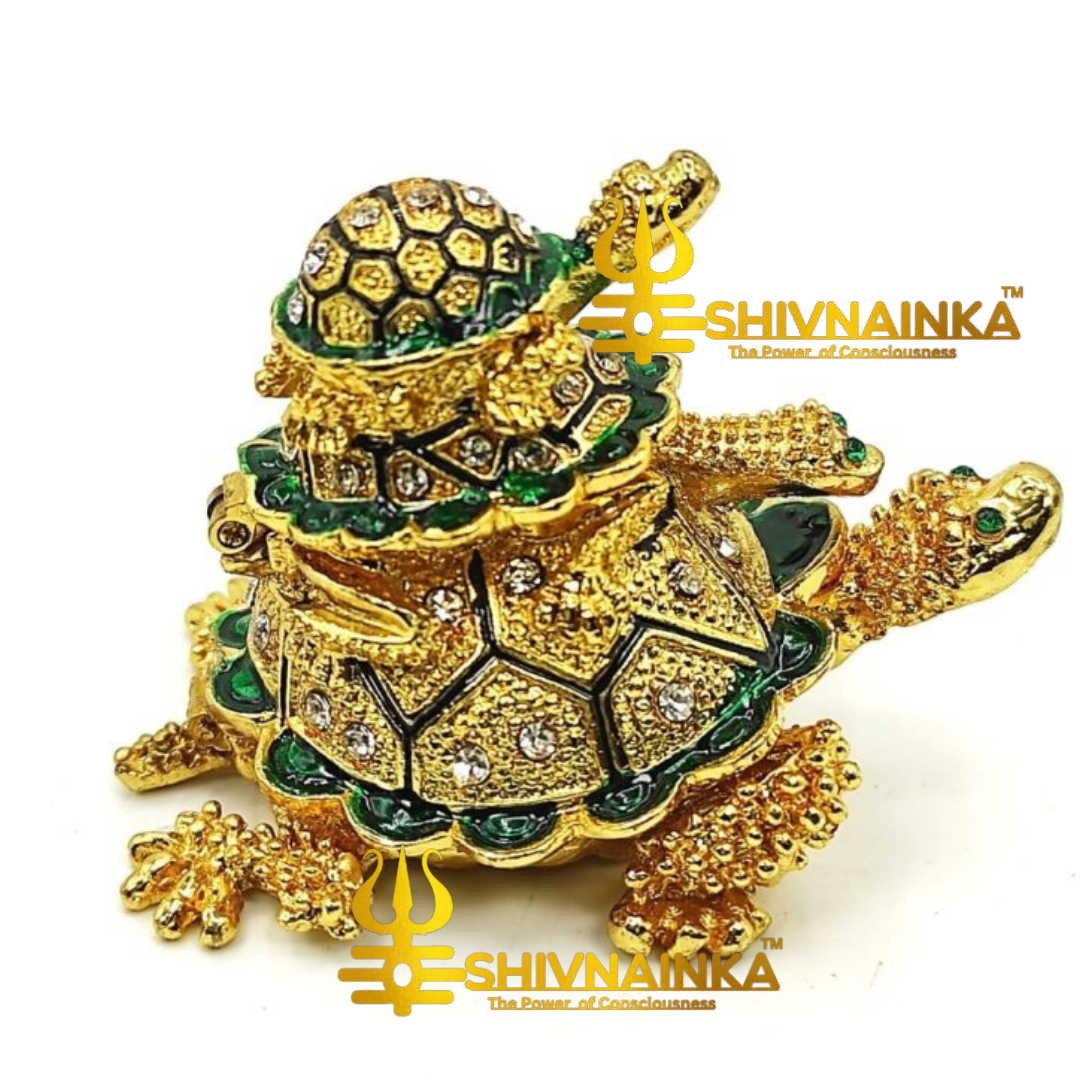 Wish Manifestation Fengshui turtle charged with Shivnainka healing