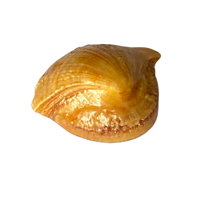 SIDDHA ORIGINAL MACHA MANI