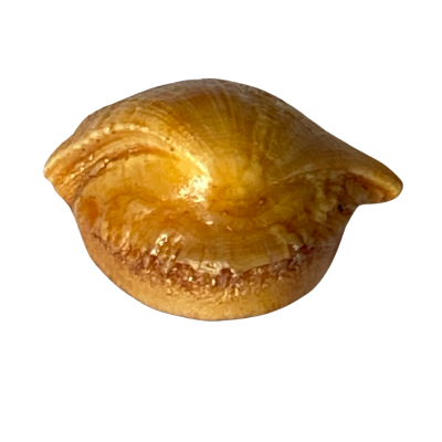 SIDDHA ORIGINAL MACHA MANI