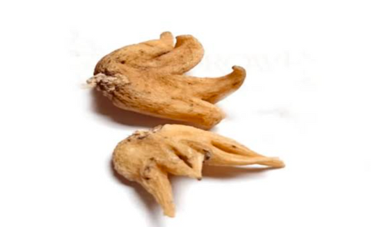 Blessed Lucky Hand Root 1 piece Rarest shape few in stock